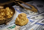 The role of gold in crises: Myths and reality.