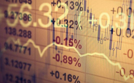Analysis of the indicators .