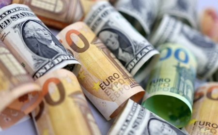 Οδηγός επιβίωσης για νέους traders: Τα 3 πιο επικίνδυνα λάθη που πρέπει να αποφύγουμε!