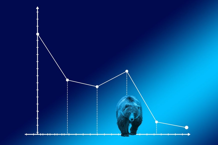 Why Most People Lose Money Investing